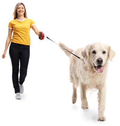 Symbolbild Frau mit Hund an der Leine