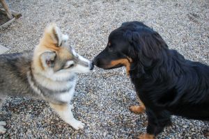 Impression Verhaltenstherapie